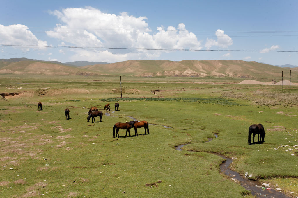 MG 4045-gansu-qinghai
