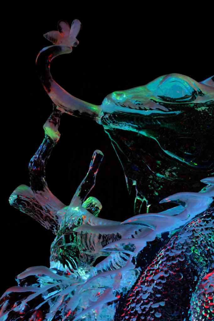 MG 1733 harbin-zhaolin-park